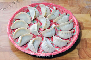 韭菜鲜肉水饺的做法步骤:18