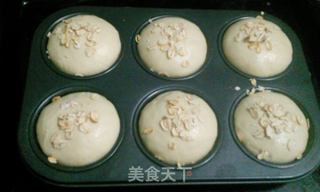 麦片面包的做法步骤:4