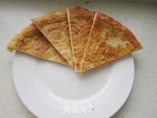 馕焖皮芽子炒肉的做法步骤:10