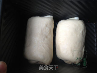 鲜奶高钙吐司的做法步骤:8