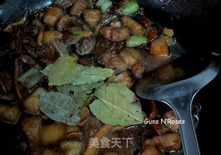 必不可少过年菜:猪肉炖粉条的做法步骤:8