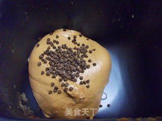 巧克力豆土司的做法步骤:3