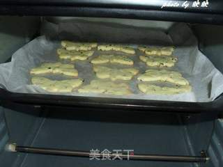 紫菜芝麻芹菜饼干的做法步骤:15