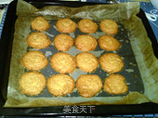 榛子奶酥饼干的做法步骤:13