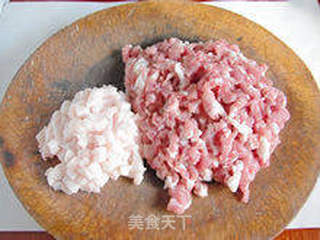 【清蒸手工狮子头】--- 来自乡间的味道的做法步骤:5