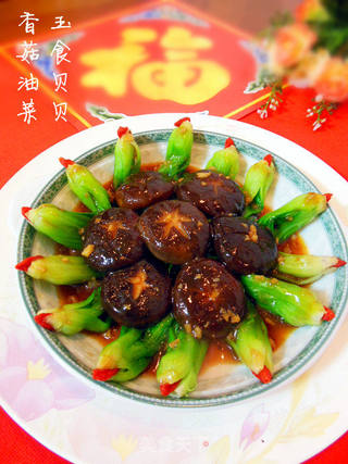 香菇油菜——财源滚滚 吉星高照的做法步骤:17