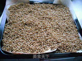 140天的酝酿——纯天然手工自制麦酱的做法步骤:5