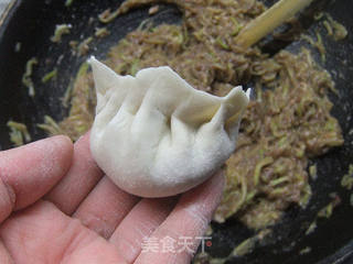 西葫芦猪肉饺子的做法步骤:12