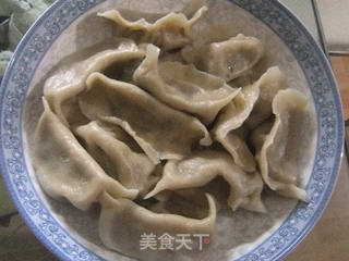 西葫芦猪肉饺子的做法步骤:15