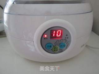 自制酸奶的做法步骤:8