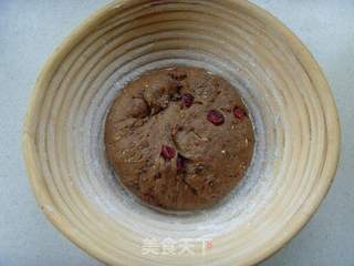 朴实的外表下却是惊艳---可可蔓越莓黑麦面包的做法步骤:6