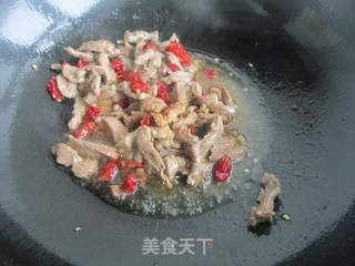 毛芹炒羊肉——新疆味道的做法步骤:7