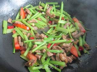 毛芹炒羊肉——新疆味道的做法步骤:12