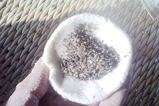 芝麻馅汤圆的做法步骤:8