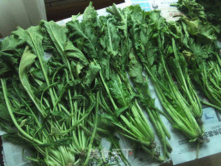 雪菜黄豆(附雪菜腌制方法)的做法步骤:7