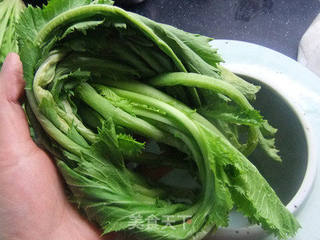 雪菜黄豆(附雪菜腌制方法)的做法步骤:8