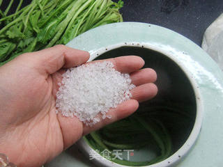 雪菜黄豆(附雪菜腌制方法)的做法步骤:9