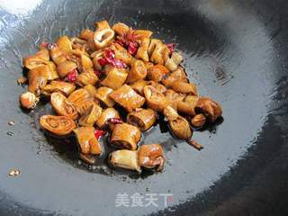 肥肠豆腐煲的做法步骤:7