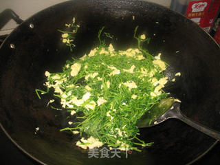 鸡蛋炒豆苗的做法步骤:9