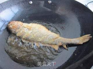 羊肉焖黄花鱼的做法步骤:6