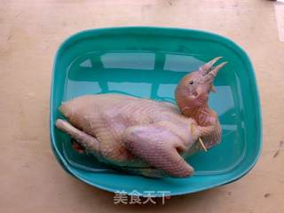玫瑰露鸽子的做法步骤:4