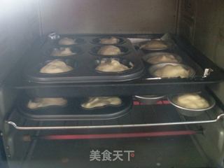 木糖醇海绵小蛋糕的做法步骤:8