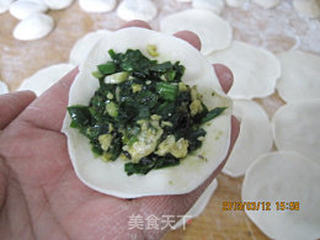 出九的韭(九)菜馅饺子----如何调韭菜馅不出水?的做法步骤:17