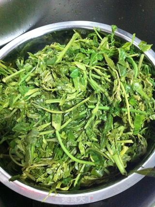油泼香椿的做法步骤:5