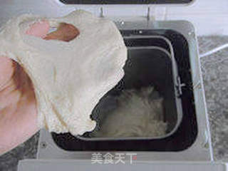 【原味小排包】--- 周末带着孩子观春色的做法步骤:4