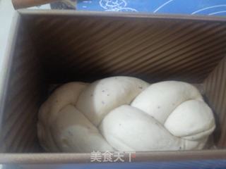 芝麻葵花籽土司的做法步骤:4