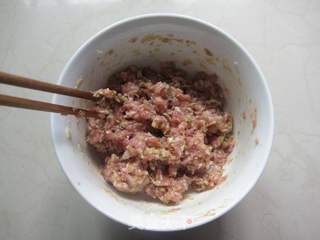 早春鲜美野菜包的做法步骤:10