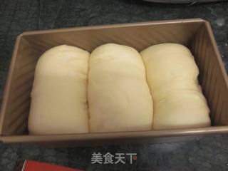 【奶香吐司】的做法步骤:8