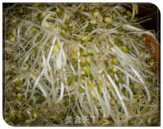 发绿豆芽的做法步骤:8
