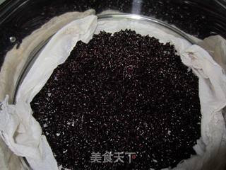 黑米醪糟的做法步骤:3
