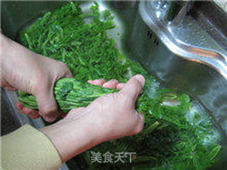 巧腌香椿芽的做法步骤:7