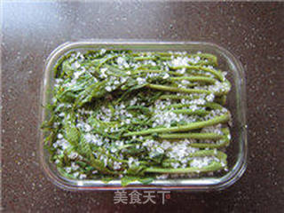 巧腌香椿芽的做法步骤:10