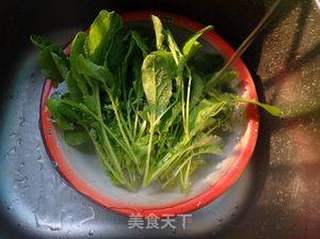 腐乳炒萝卜苗的做法步骤：1