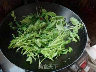 腐乳炒萝卜苗的做法步骤：7