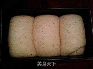 红枣豆渣吐司的做法步骤:11