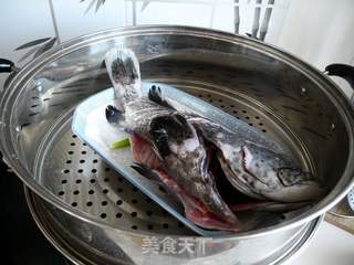清蒸石斑鱼的做法步骤:5