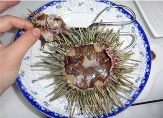 一日之计在于晨,绝对营养的早餐——海胆炖蛋的做法步骤:2