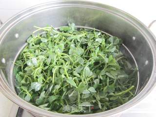 苜蓿猪肉饺子的做法步骤:3