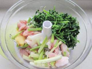 苜蓿猪肉饺子的做法步骤:7