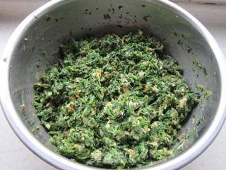 苜蓿猪肉饺子的做法步骤:9