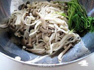 “立夏之季” 抗病佰草集--------〖活捉豌豆苗〗的做法步骤:5