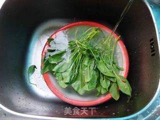 蚝油菠菜粉丝的做法步骤：2