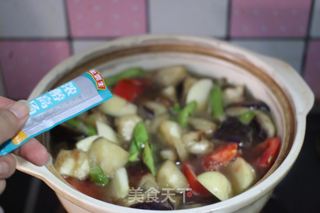 【东北乱炖】——浓浓家乡味的做法步骤:16
