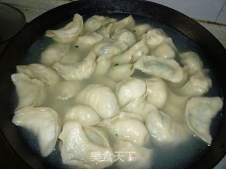 韭菜木耳鸡蛋饺子的做法步骤：12