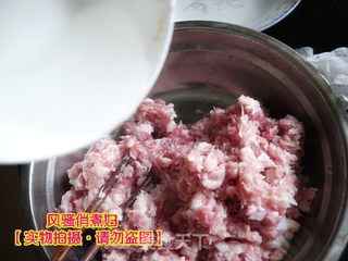 灌汤小笼包 详细图解猪肉大葱酱香小肉包的做法步骤:5