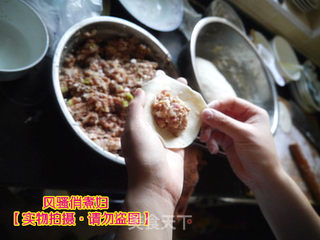 灌汤小笼包 详细图解猪肉大葱酱香小肉包的做法步骤:15